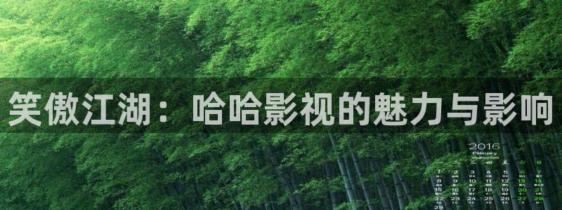 yy4480电视剧：笑傲江湖：哈哈影视的魅力与影响
