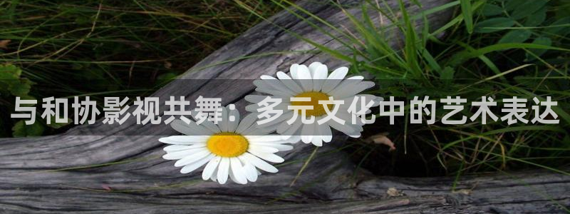 yy4480日本妈妈：与和协影视共舞：多元文化中的艺术表达