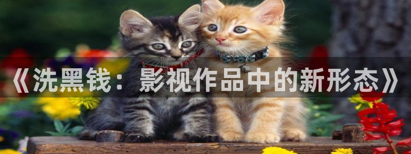 yy4480直播