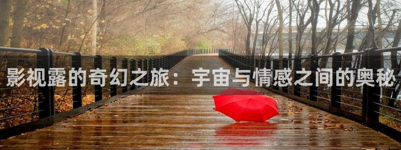 yy4480电视剧免费在线看：影视露的奇幻之旅：宇宙与情感之间的奥秘