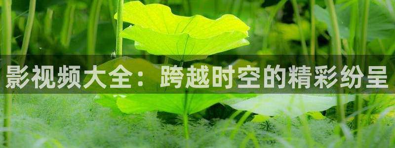 yy4480首播影院手机电影：影视频大全：跨越时空的精彩纷呈