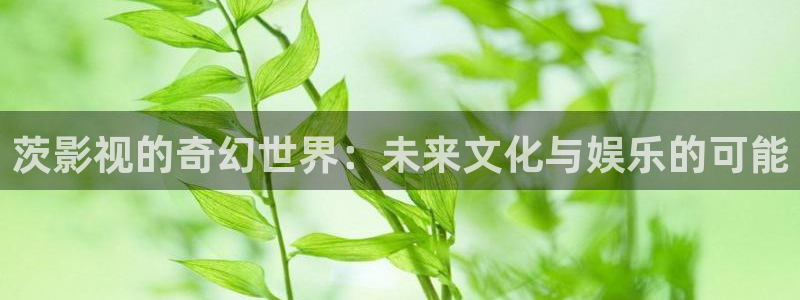 yy4480在线看电视直播