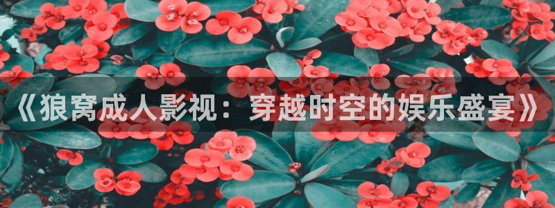 yy4480电视剧免费在线看：《狼窝成人影视：穿越时空的娱乐盛宴》