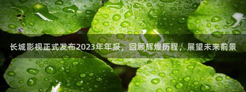 yy4480黄色