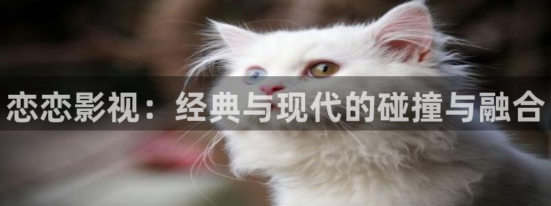yy4480免费私人影院