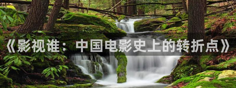 yy4480日本：《影视谁：中国电影史上的转折点》