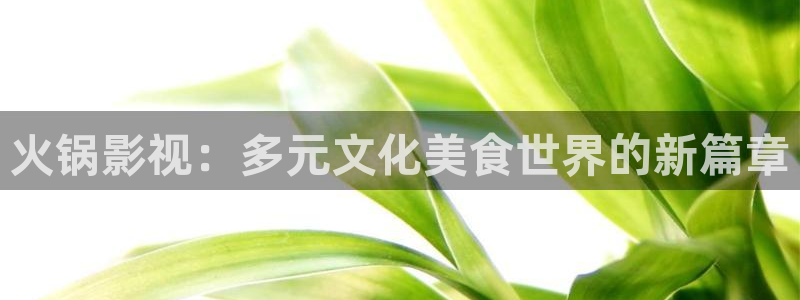 yy4480妈妈的朋友：火锅影视：多元文化美食世界的新篇章