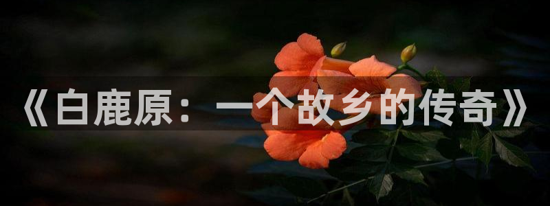 yy4480理论：《白鹿原：一个故乡的传奇》
