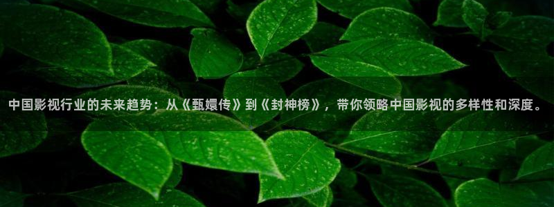yy4480黄色片：中国影视行业的未来趋势：从《甄嬛传》到《封神榜》，带你领略中国影视的多样性和深度。