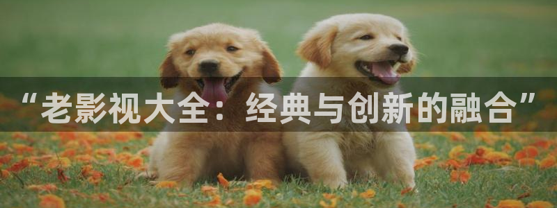 韩国yy4480